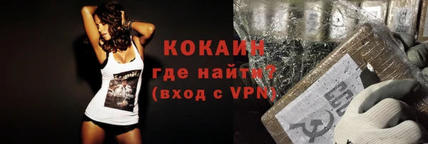 PSILOCYBIN Медвежьегорск