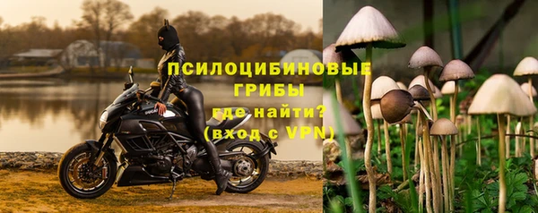 mdpv Долгопрудный