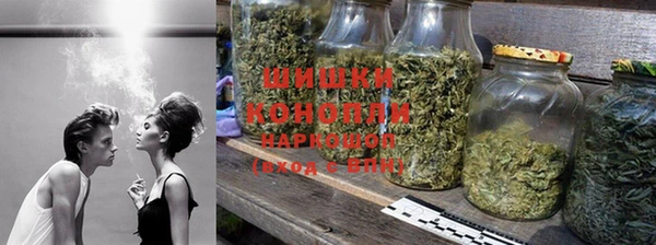 PSILOCYBIN Медвежьегорск