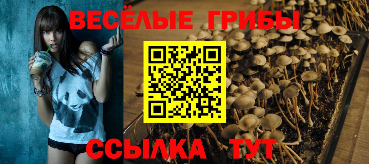 Галлюциногенные грибы Psilocybe  Галлюциногенные грибы MAGIC MUSHROOMS  Вход с VPN  Донской 