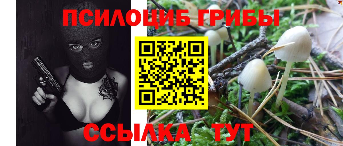 Галлюциногенные грибы Magic Shrooms Донской