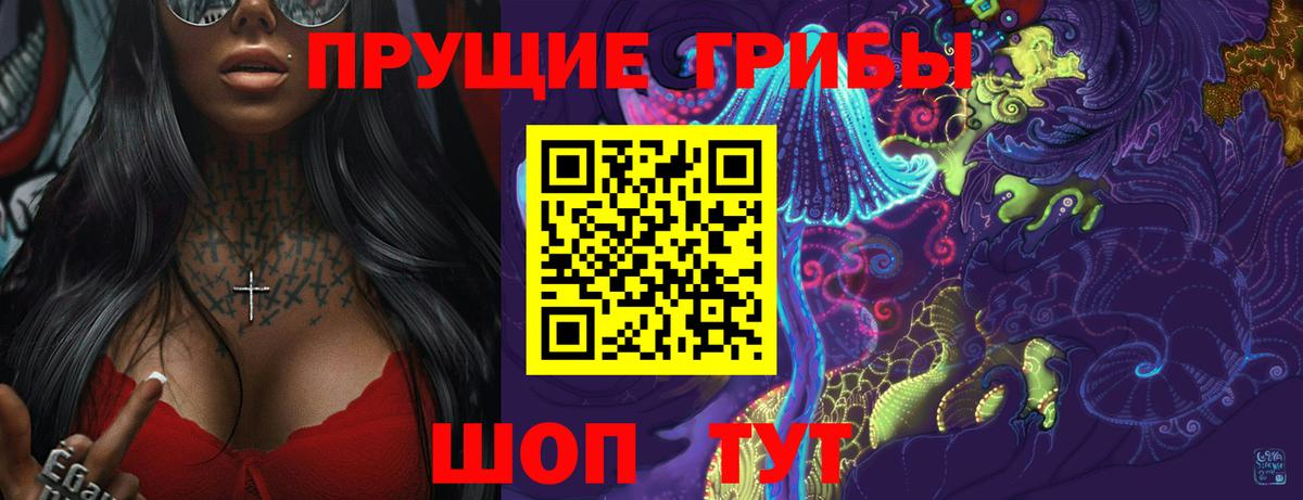 Псилоцибиновые грибы GOLDEN TEACHER Донской